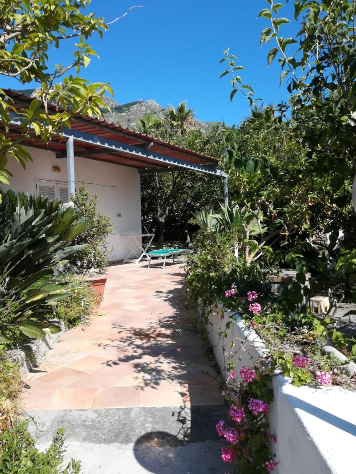 Residence Limoneto Ischia Forio di Ischia Dış mekan fotoğraf